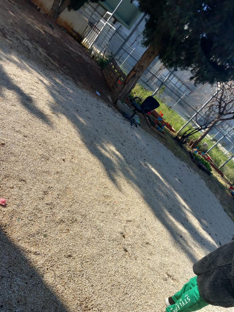 WhatsApp Image 2023-02-13 at 2.02.41 PM.jpeg